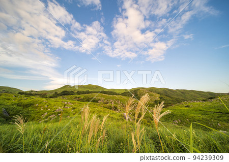 Hiraodai with a refreshing blue sky and early autumn [Kitakyushu City, Fukuoka Prefecture] 94239309
