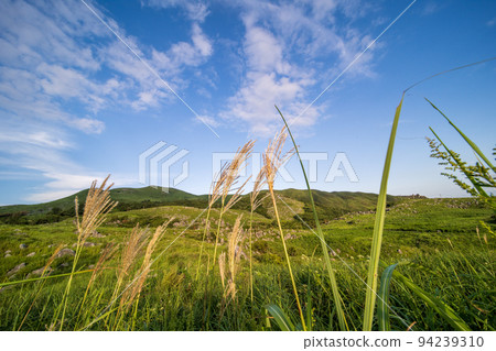 Hiraodai with a refreshing blue sky and early autumn [Kitakyushu City, Fukuoka Prefecture] 94239310
