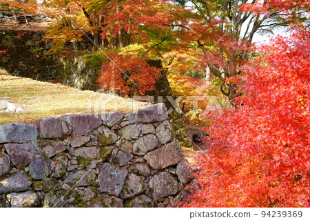 Autumn / Autumn Leaves of Takatori Castle Ruins (Takatori Town, Takaichi District, Nara Prefecture) 94239369
