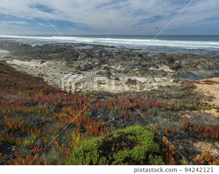 View sea shore with ocean waves, sharp rocks, stones and green vegetation at Rota Vicentina wild coast near Porto Covo, Portugal. 94242121