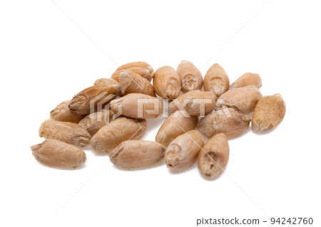 wheat isolated 94242760