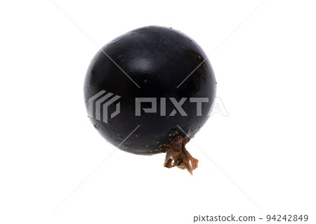 blackcurrant isolated blackcurrant isolated 94242849
