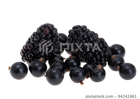 blackcurrant isolated blackcurrant isolated 94242861