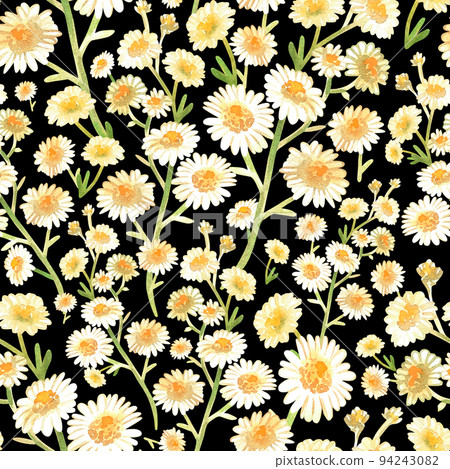 Chamomile seamless pattern. Watercolor vintage illustration. Isolated on a black background. 94243082