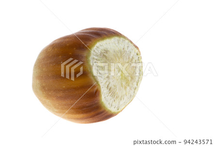hazelnut isolated hazelnut isolated 94243571