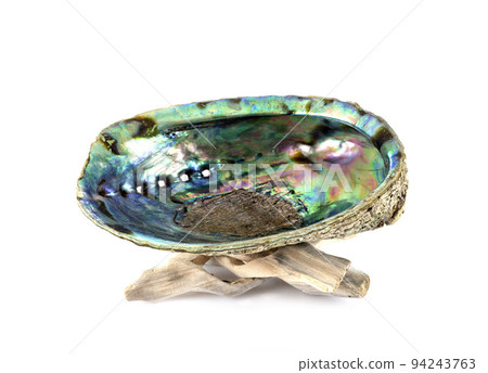 abalone in studio 94243763