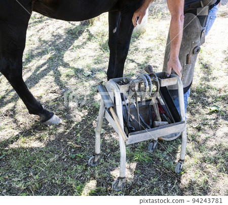 Farrier works in a field Farrier works in a field 94243781