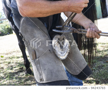 Farrier works in a field Farrier works in a field 94243783