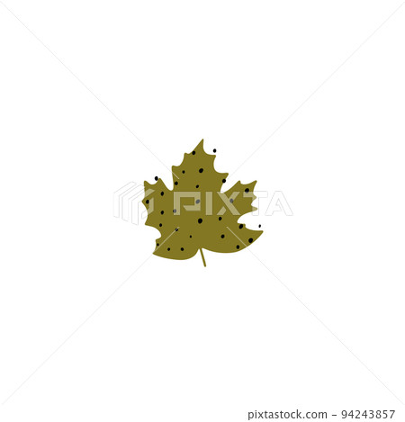 Fall leaf icon vector illustration. Hand drawn colorful design. Isolated graphic Fall leaf icon vector illustration. Hand drawn colorful design. Isolated graphic 94243857