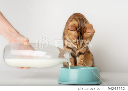 A woman's hand pours milk into a bowl from a glass bottle. 94245632