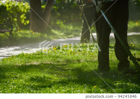 grass maintenance in the park. cutting weeds on a sunny day. professional lawn care service grass maintenance in the park. cutting weeds on a sunny day. professional lawn care service 94245846