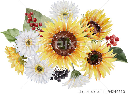 水彩向日葵 水彩向日葵 94246510