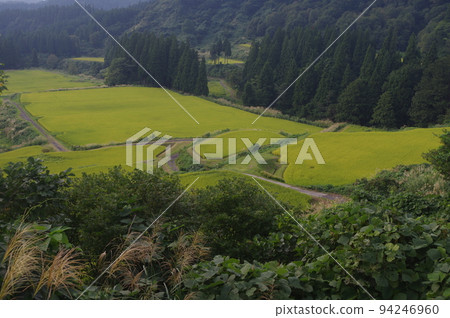 Echigo-Tsumari Rice Terraces 94246960