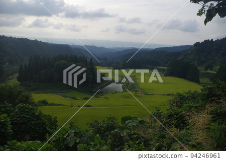 Echigo-Tsumari Rice Terraces 94246961