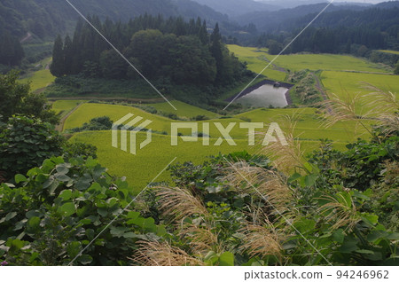 Echigo-Tsumari Rice Terraces 94246962