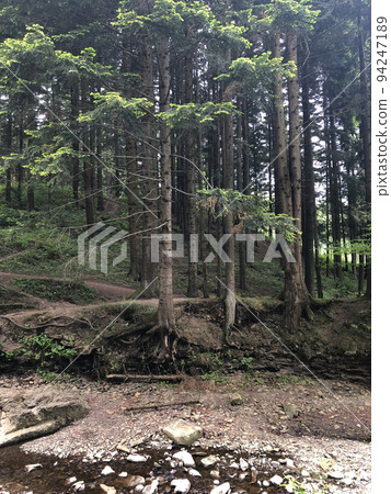 Waterfall in Skole Lviv Forest 94247189