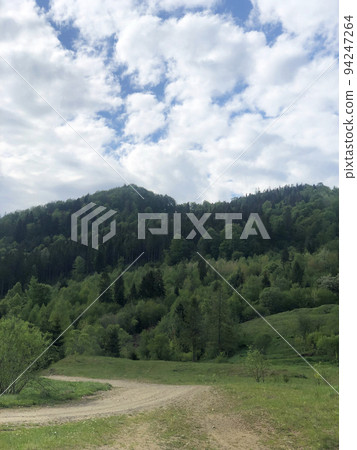 Nature Skole Lviv Landscape. Field and Tree Forest. 94247264