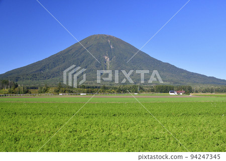 Photographing the harvested carrot fields and Mt. Yotei in early autumn in Kyogoku, Hokkaido Photographing the harvested carrot fields and Mt. Yotei in early autumn in Kyogoku, Hokkaido 94247345