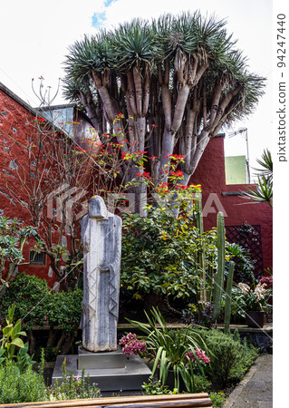 Garden of Tomas Morales House-Museum at the small village Moya on Gran Canaria, Canary Islands in Spain 94247440