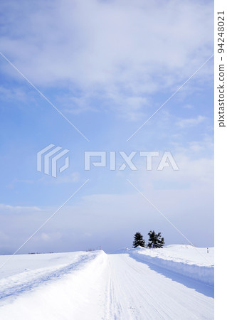 snow scene in Hokkaido 94248021