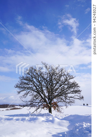 snow scene in Hokkaido 94248027
