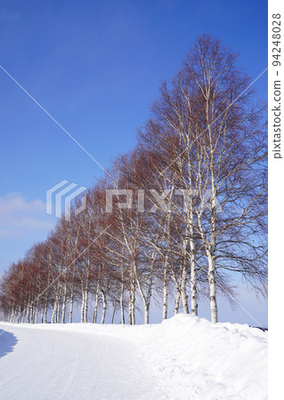 snow scene in Hokkaido 94248028