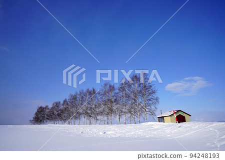 snow scene in Hokkaido 94248193