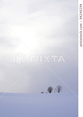 北海道的雪景 北海道的雪景 94248194
