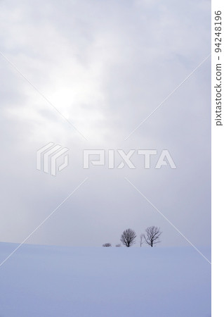 snow scene in Hokkaido snow scene in Hokkaido 94248196