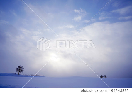 snow scene in Hokkaido snow scene in Hokkaido 94248885