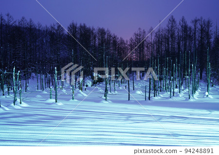 snow scene in Hokkaido snow scene in Hokkaido 94248891