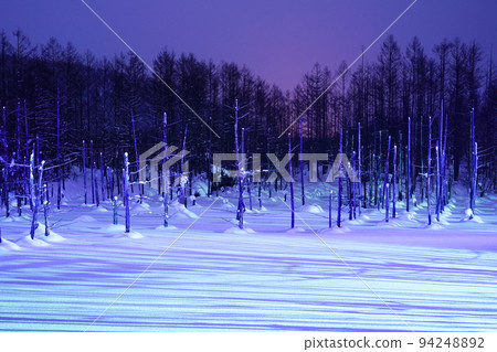 snow scene in Hokkaido snow scene in Hokkaido 94248892