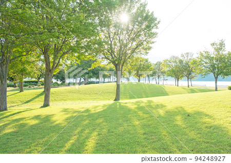 A walk in the sunlight filtering through the trees on the park road 94248927
