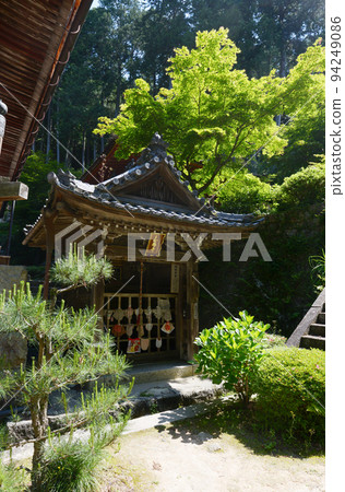 長明寺百合街道(滋賀縣近江八幡市) 長明寺百合街道(滋賀縣近江八幡市) 94249086