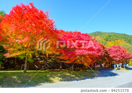 箕輪町紅葉湖的紅葉 94251578