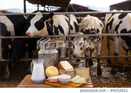 Fresh natural farm dairy products on table in cowshed Fresh natural farm dairy products on table in cowshed 94252651