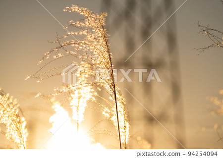 Susuki黃昏時分 94254094