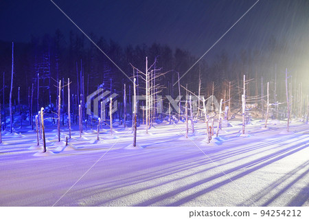 snow scene in Hokkaido snow scene in Hokkaido 94254212