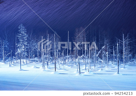 snow scene in Hokkaido 94254213