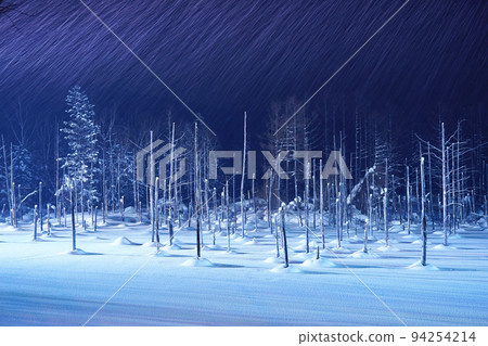 北海道的雪景 北海道的雪景 94254214