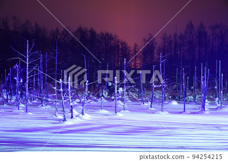 北海道的雪景 北海道的雪景 94254215