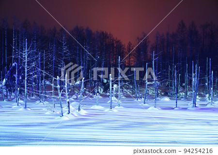 snow scene in Hokkaido 94254216