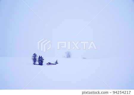 snow scene in Hokkaido 94254217