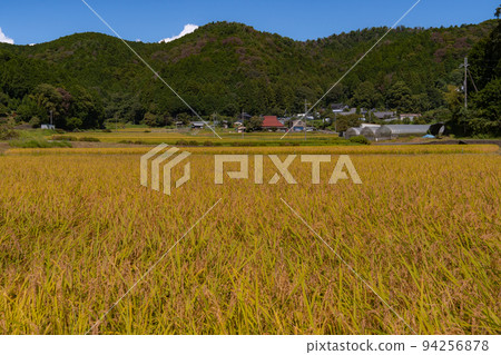 Autumn-colored mountain village scenery, Amano, Katsuragi-cho, Ito-gun, Wakayama Prefecture Autumn-colored mountain village scenery, Amano, Katsuragi-cho, Ito-gun, Wakayama Prefecture 94256878
