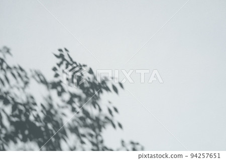 Shadows of branches and leaves reflected in the lower left of the mortar-finished concrete wall Cold color hard Shadows of branches and leaves reflected in the lower left of the mortar-finished concrete wall Cold color hard 94257651