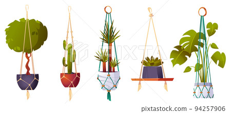 Macrame hangers with green house plants 94257906