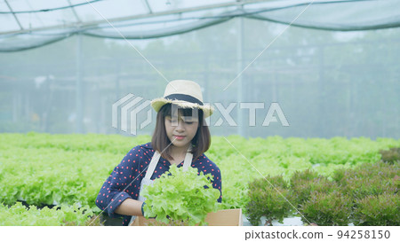 agriculture concept of 4k Resolution. Asian woman explaining about organic vegetable cultivation. Gardener's Confidence. agriculture concept of 4k Resolution. Asian woman explaining about organic vegetable cultivation. Gardener's Confidence. 94258150
