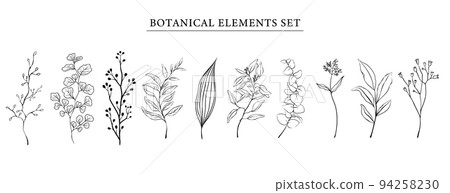 Flower hand drawn line art. Simple line drawing black and white Flower hand drawn line art. Simple line drawing black and white 94258230