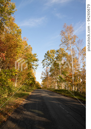 黃葉和藍天的坡度 黃葉和藍天的坡度 94260679