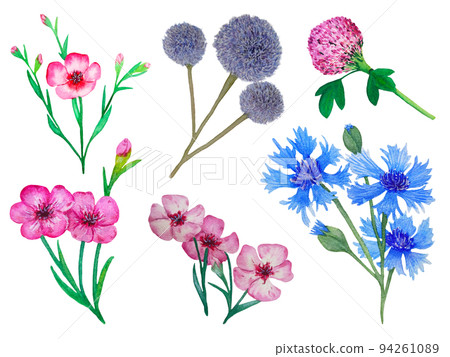 set of watercolor flowers set of watercolor flowers 94261089